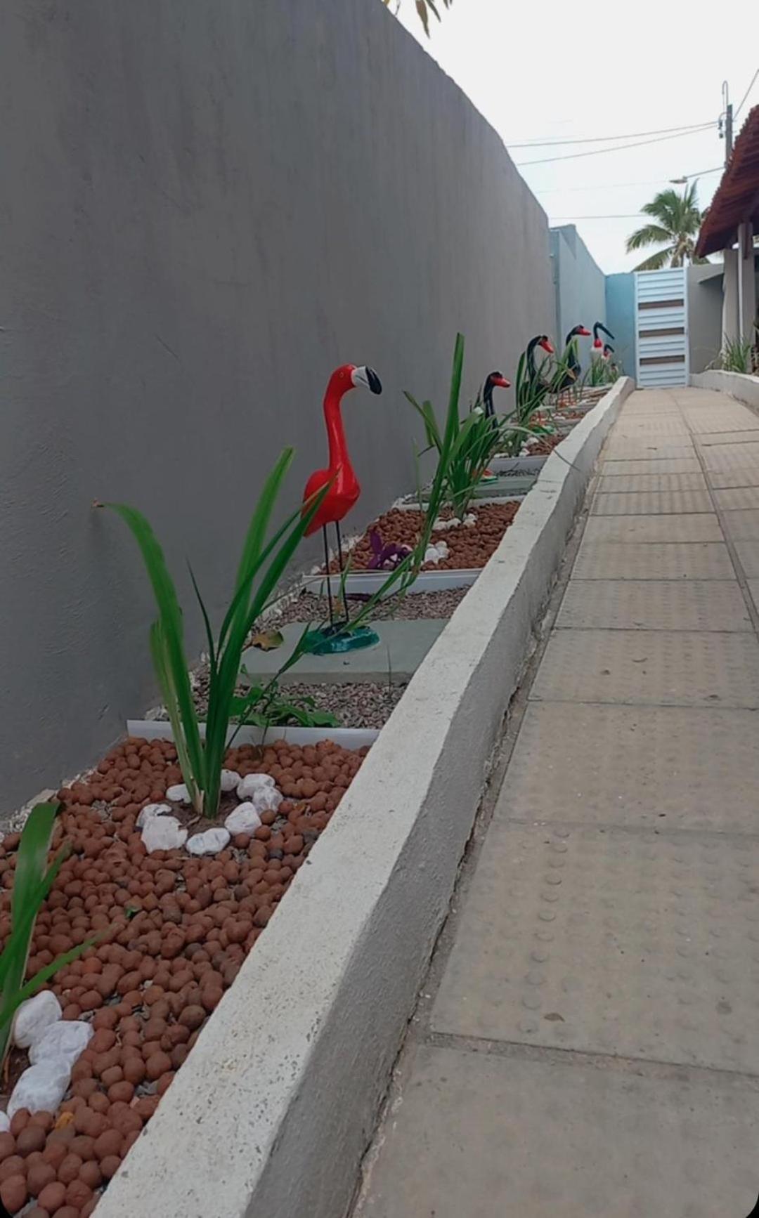 Velha Flats *